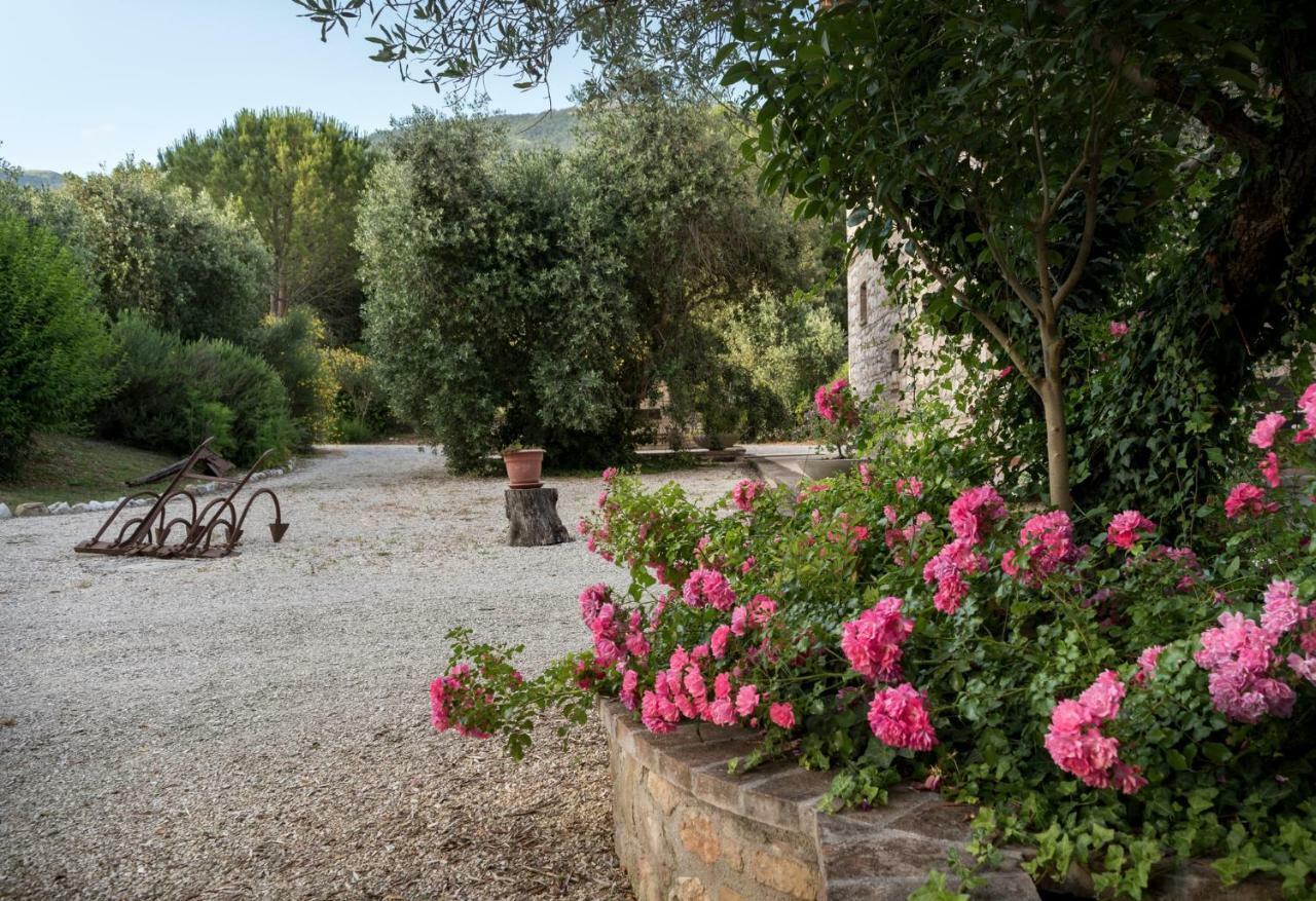Passaggio di Assisi Agriturismo Il Giardino Dei Ciliegi מראה חיצוני תמונה